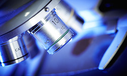 Microbiology