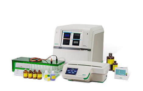 2D Electrophoresis