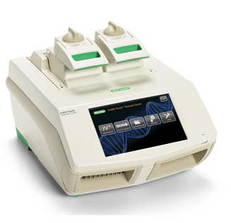 Thermal Cycler
