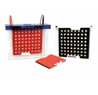 Electrophoresis